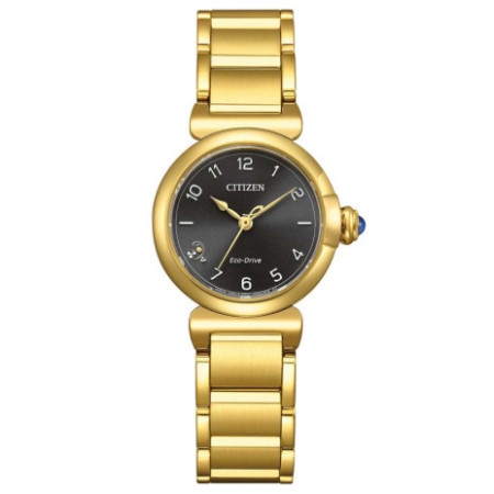 Citizen EM1132-88H laikrodis